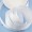 white9 -$0.90