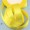 yellow18 -$0.90