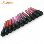 pro Waterproof Elegant Daily Color Lipstick matte smooth lip stick lipgloss Long Lasting Sweet girl Lip beauty  for Makeup