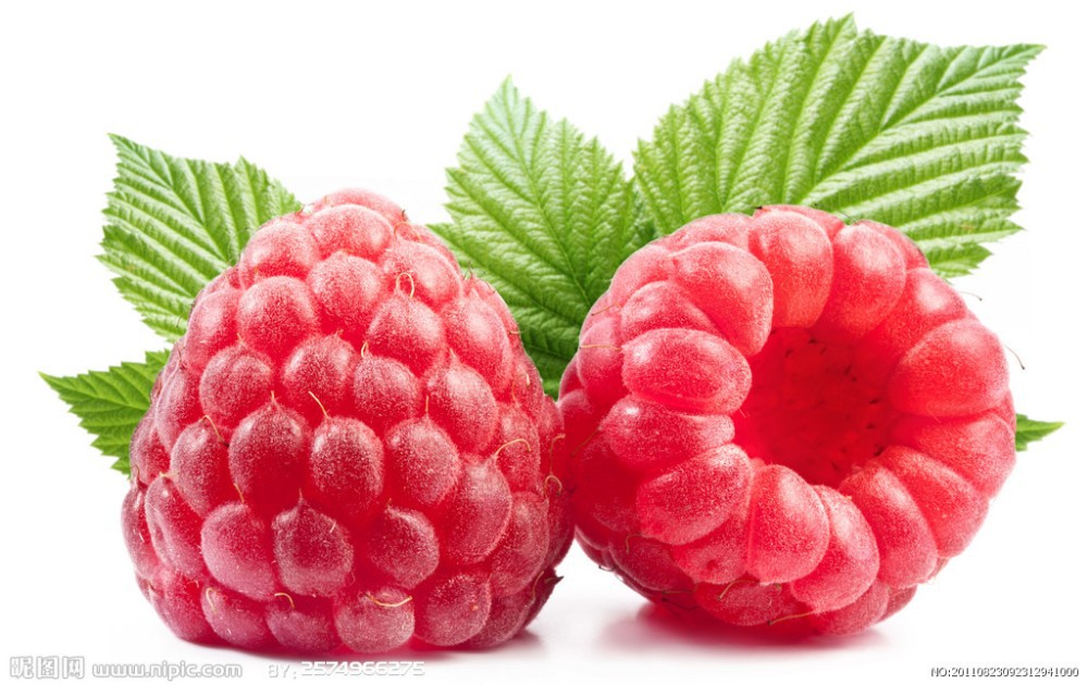 1000pcs-rare-raspberry-seeds-organic-fruit-seeds-green-red-blue-purple-black-raspberry-seeds-for-hom-1997450199