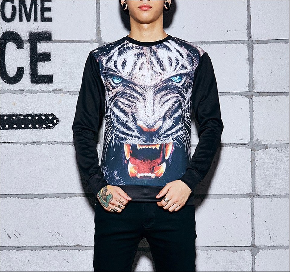 2016-Animal-3D-Sweatshirt-Men-Autumn-Winter-Brand-Clothing-Fashion-Print-High-Quality-Hoody-Mens-Swe-32744545338