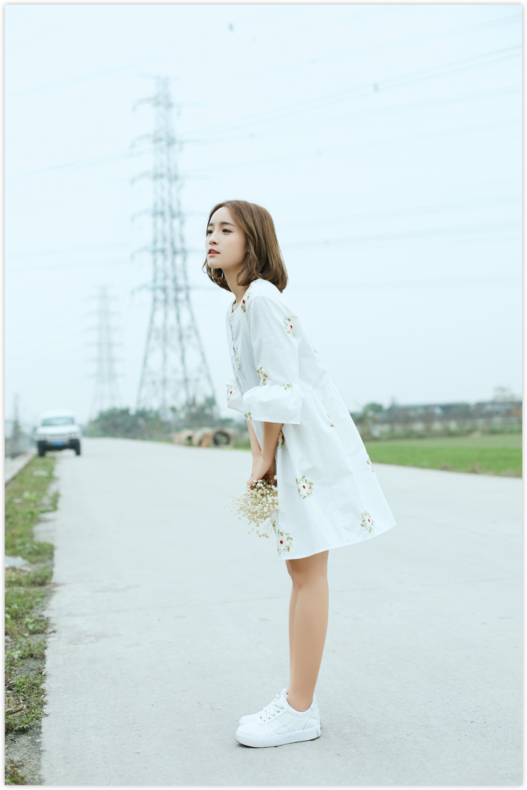 2017-Free-Shipping-New-Summer-And-Spring-Dress--Women--Dimensional-Embroidery-Small-Fresh-Cotton--Pl-32802572995