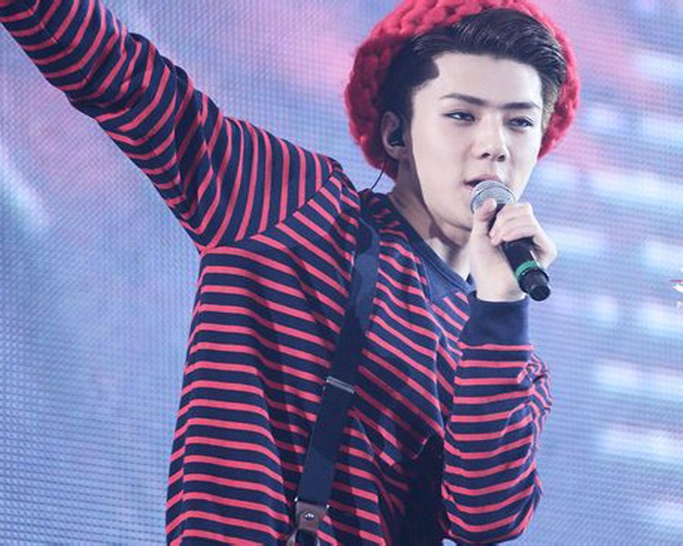 2017-New-KPOP-EXO-hoodie-Korean-star-Chanyeol-SEHUN--pullover-Sweatshirts-Striped-cotton-autumn-wint-32406825951