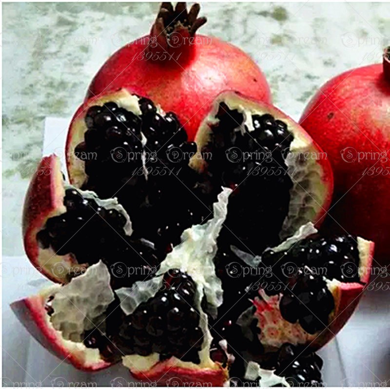 50pcsbag-Vanilla-Strawberry-Hydrangea-Flower-Seeds-for-Planting-Flower-Bonsai-or-tree-Seeds-Hydrange-32691491567