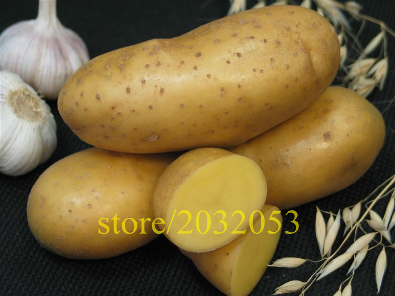800pcs-Strawberry-seeds-2016-new-red-giant--Climbing-Strawberry-Fruit-Plant-Seeds-for--Home-Garden-p-32613823611