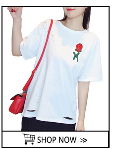 Basic-T-Shirt-Women-Long-Sleeve-Womens-Tops-2017-Spring-Autumn-Tee-Shirt-Women-Korean-Style-T-Shirt--32562165238