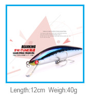 Bearking-professional-fishing-lures110mm-13g-top-water-pencilbaitwalkdog-action-6colors-for-choosefi-32278089408
