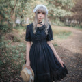 Lolita-Style-Black-Chiffon-Dress-Vintage-Retro-Royal--Women-Princess-Chiffon-Dress-Ruffle-Large-Size-32720910236