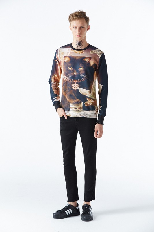 Mr1991INC-hoodies-for-menwomen-3d-sweatshirt-funny-print-big-dollars-cat-and-golden-flowers-hoodies--32465839426
