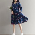 New-autumn-elbise--women--dress--Loose-cotton-long-sleeved-Art-moon-owl-print-dress-Fashion-wild-spr-32723595523