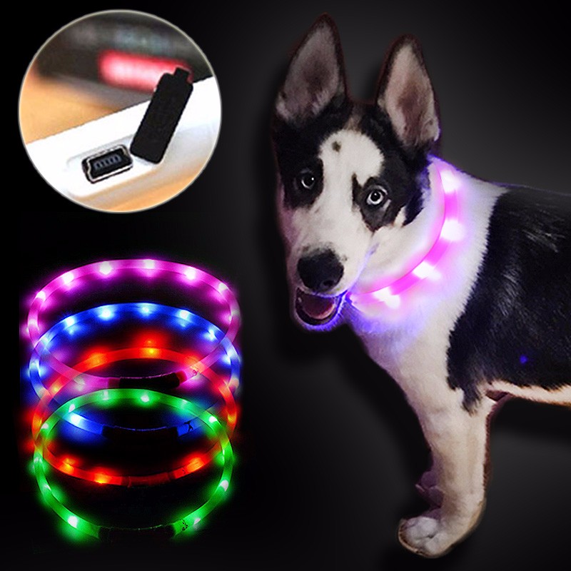 Outdoor-Dog-Collars-USB-luminous-pet-collar-led-light-USB-charging-Cat-dog-collar-Teddy-Night-Flashi-32630108708