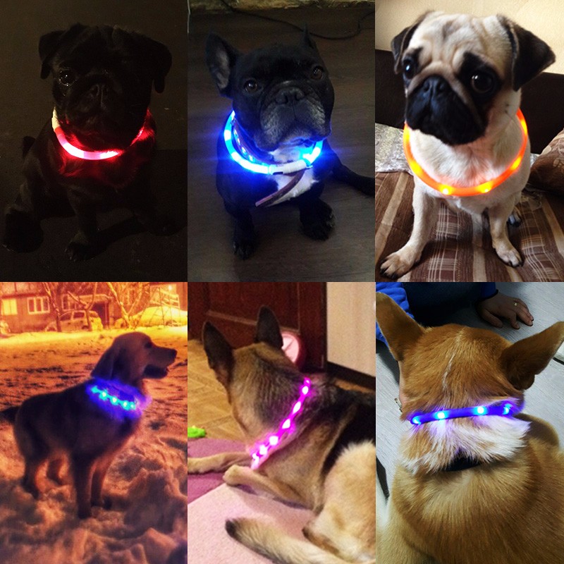 Outdoor-Dog-Collars-USB-luminous-pet-collar-led-light-USB-charging-Cat-dog-collar-Teddy-Night-Flashi-32630108708