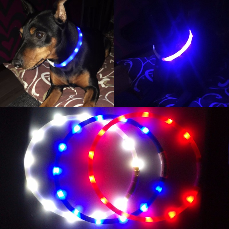 Outdoor-Dog-Collars-USB-luminous-pet-collar-led-light-USB-charging-Cat-dog-collar-Teddy-Night-Flashi-32630108708
