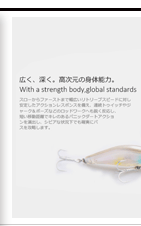 Retail-fishing-tackle-Hot-Model--A-fishing-lures-Bearking-assorted-colors-120mm-18g-hard-baits-32551174985