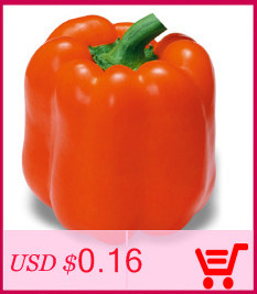 free-shipping-Flower-seeds-plant-hanging-petunia-seeds-balcony--100-seeds-32439631803