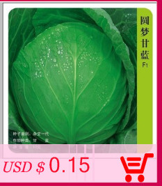 free-shipping-Flower-seeds-plant-hanging-petunia-seeds-balcony--100-seeds-32439631803